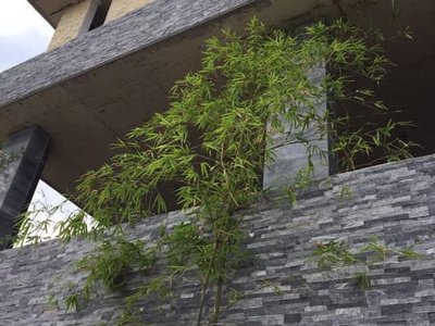 Đá tự nhiên ốp mặt tiền ghép đen ánh kim Nghệ An đẹp giá rẻ quận Hà Đông