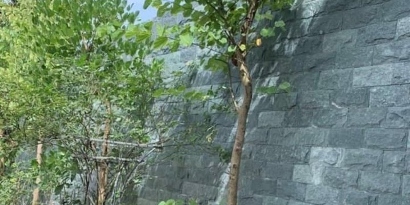 Đá tự nhiên bóc lồi xanh rêu ốp tường trang trí nội ngoại thất- Địa chỉ mua đá bóc xanh quận Hà Đông