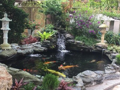 Làm hồ cá Koi tuyệt đẹp bằng những loại đá tự nhiên