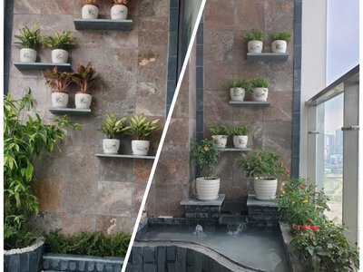 Hồ cá Koi – Thiên nhiên tuyệt đẹp trong nhà