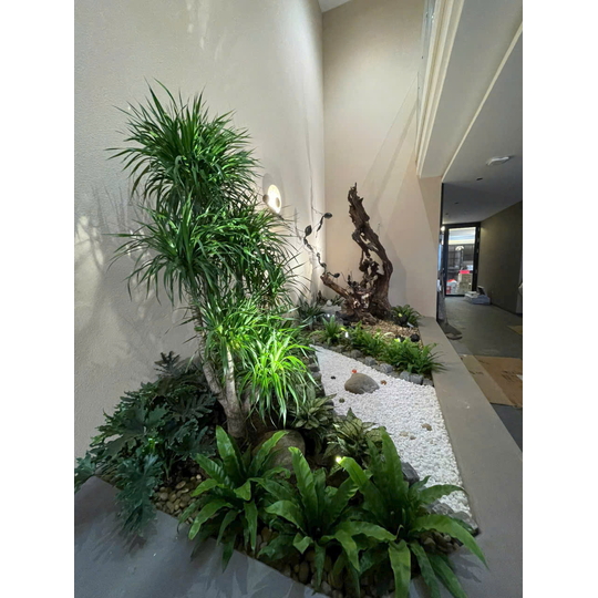 Đá Quây Bồn Cây - Đá Gốc Cây
