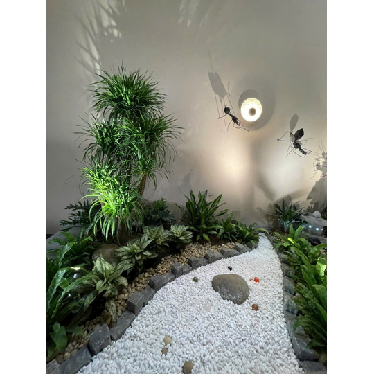 Đá Quây Bồn Cây - Đá Gốc Cây